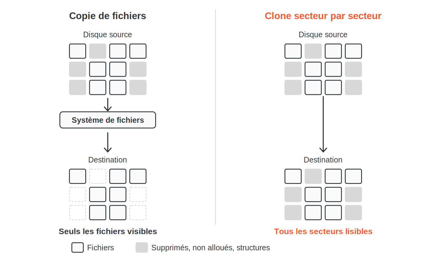 Schéma comparant une copie de fichiers, qui ne reprend que les fichiers visibles du système de fichiers, et un clone secteur par secteur, qui reproduit tous les secteurs lisibles du disque source